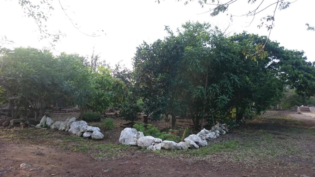 Zahrada ubytování Cucuve Eco Hostal