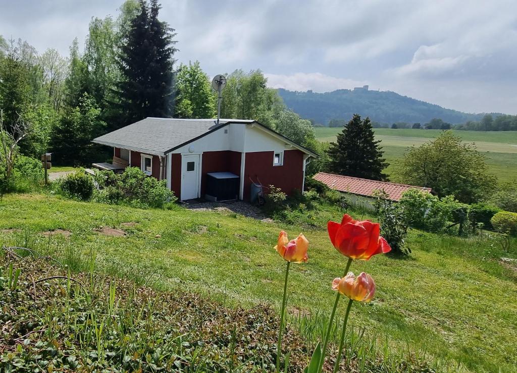 mały domek na środku pola z kwiatami w obiekcie Ferienhaus Schneekopf w mieście Suhl