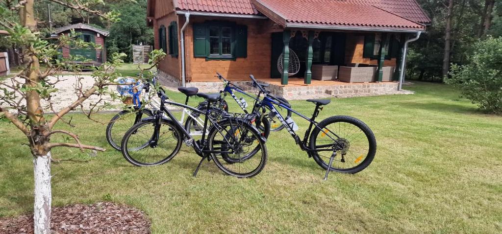 Jazda na bicykli v okolí ubytovania Willa Zielona Jabłonka