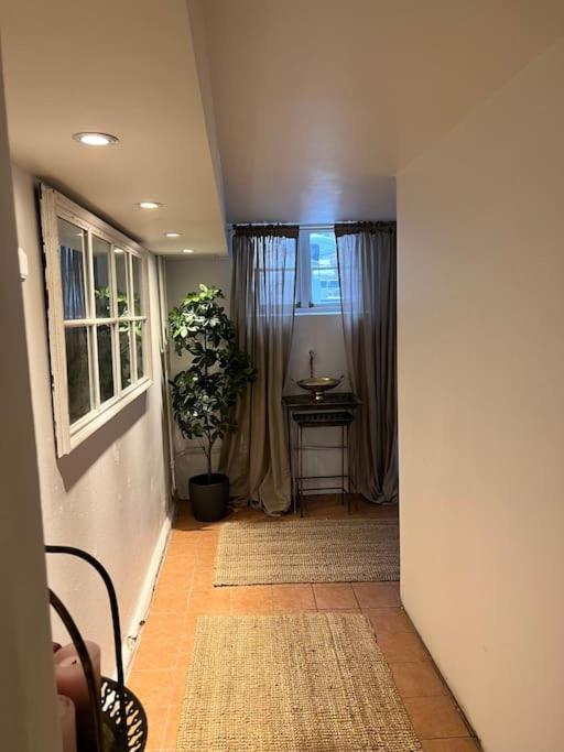 a hallway with a potted plant and a window at Källarlägenhet Örgryte in Gothenburg