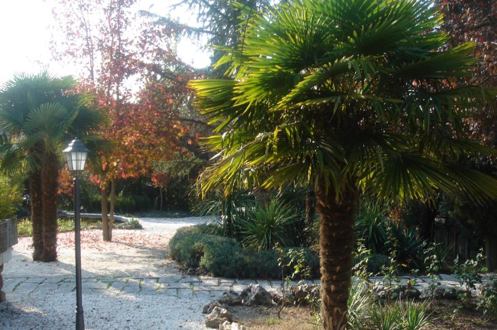 A garden outside Espléndido dormitorio en Suite