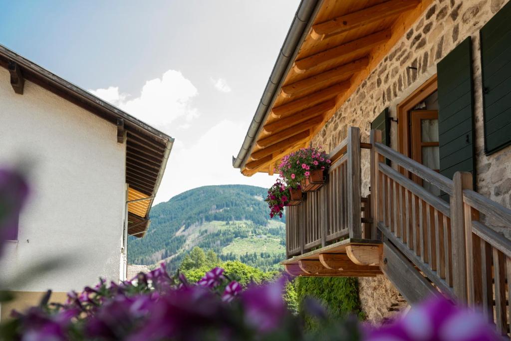 Nespecifikovaný výhled na hory nebo výhled na hory při pohledu z bed and breakfast