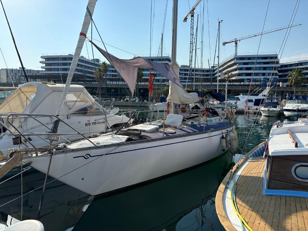 バルセロナにあるUnique wooden Sail yacht + 2 bikes included!の他の船とマリーナに停泊する白い船