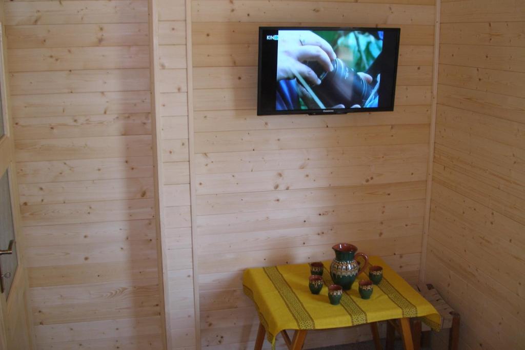 TV a/nebo společenská místnost v ubytování Chata Cep