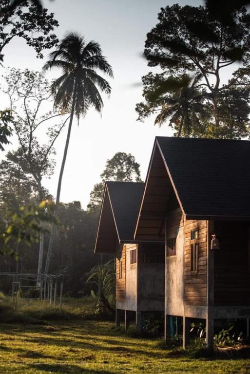 a small wooden house with a palm tree behind it at บ้านวารีชีวา WareeCheewa in Ban Muai