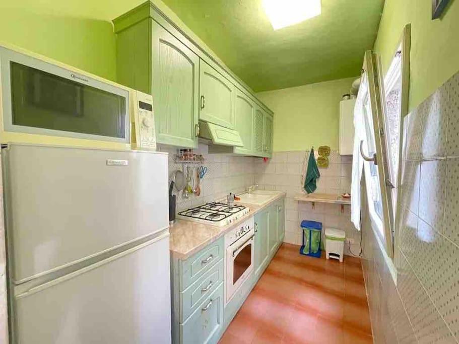 a kitchen with a white refrigerator and green walls at Appartamento Alessia (SMN) in Florence