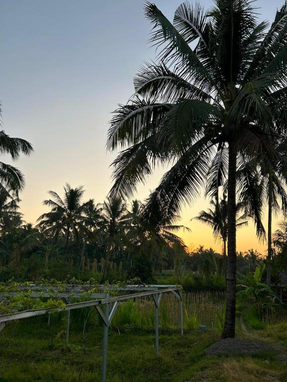 Fotografie z fotogalerie ubytování Rinjani Eco Villa Senaru v destinaci Bayan