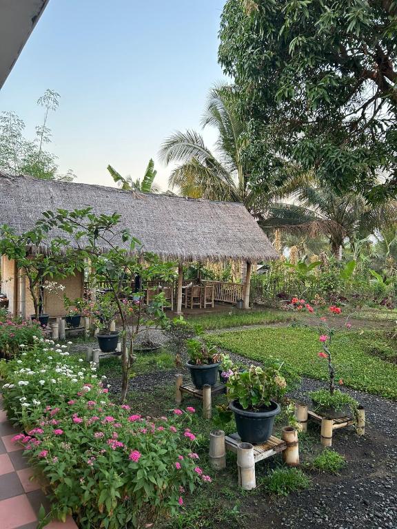 Zahrada ubytování Rinjani Eco Villa Senaru