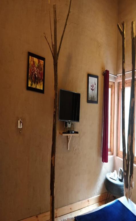 Offbeat Abodes - Tirthan Valley - Standard Double Room