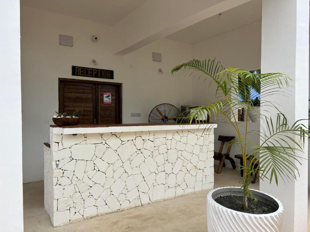 a white counter with a potted plant in a room at Nungwi Getaway in Nungwi