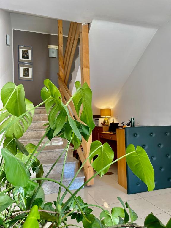 Fotografie z fotogalerie ubytování Aparthotel Gaja v Bledu