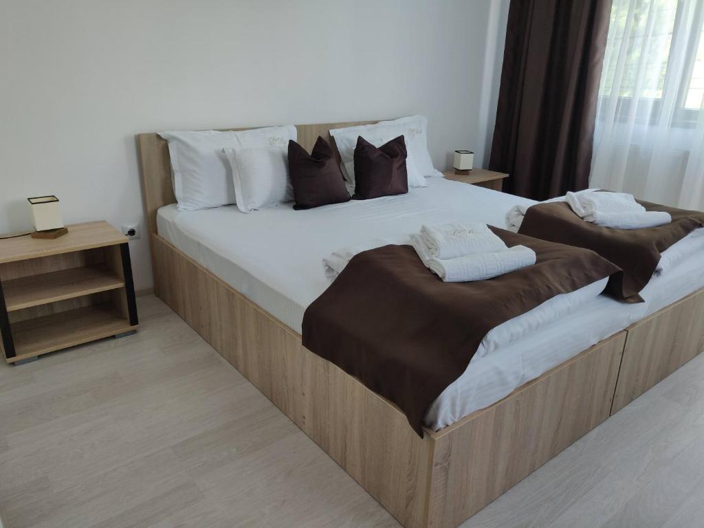 Pensiunea Alesia - Chambre Double