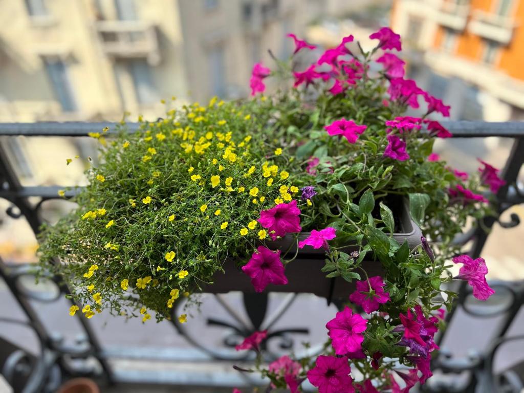 Easy Isola, for an easy stay - 4