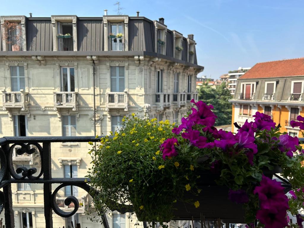 Easy Isola, for an easy stay - 3