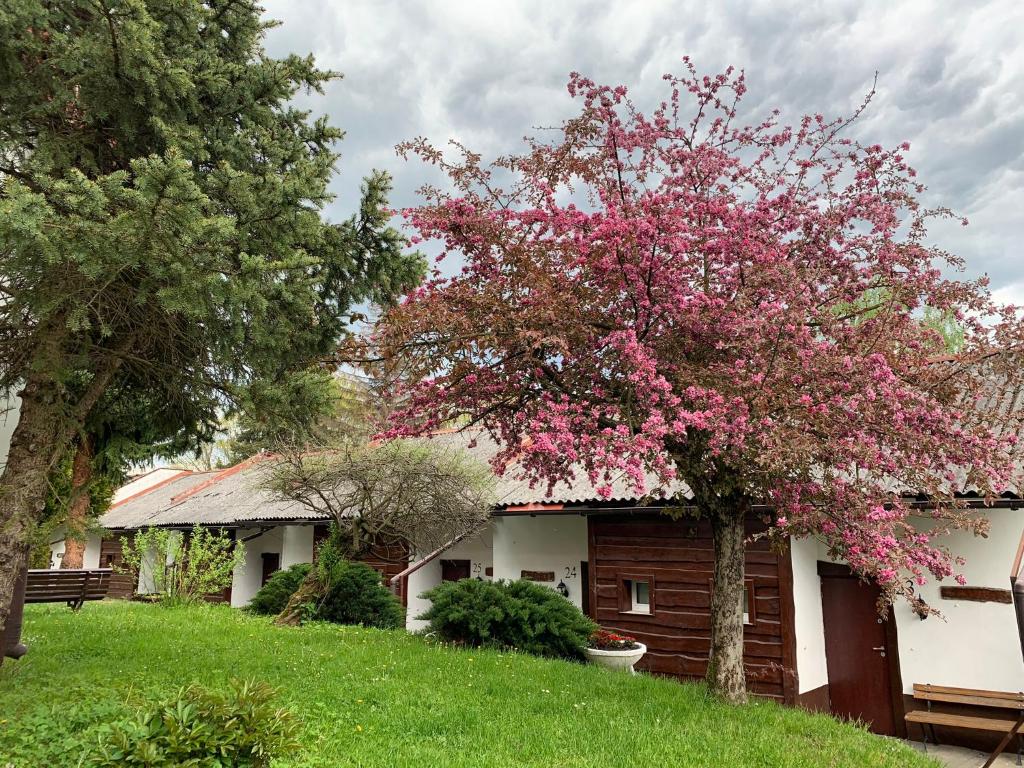 Centrum Wypoczynku ODYS - Cottage (5 Adults)
