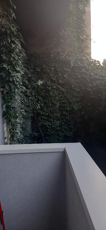 Fotografie z fotogalerie ubytování Apartman studio DUE v destinaci Apatin