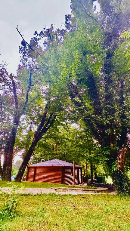 Zahrada ubytování Wald Hotel Lagodekhi Rooms