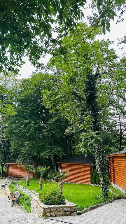 Zahrada ubytování Wald Hotel Lagodekhi Rooms