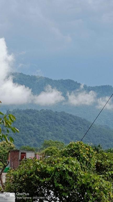 a view of a mountain with trees and clouds at RASA - 85 The Ganges in Rishīkesh