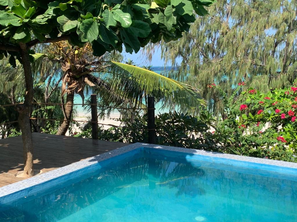 Bazén v ubytování Zi Villa Dhow Beach Cottage nebo v jeho okolí