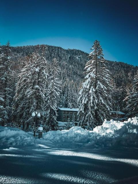 Chalet Eden Eco Hotel, Restaurant & Wellness