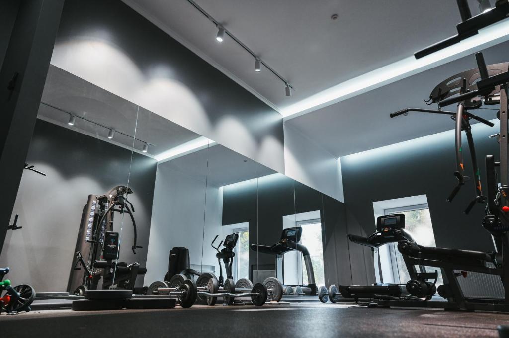 Fitness centrum a/nebo fitness zařízení v ubytování Alexandrovskiy Hotel