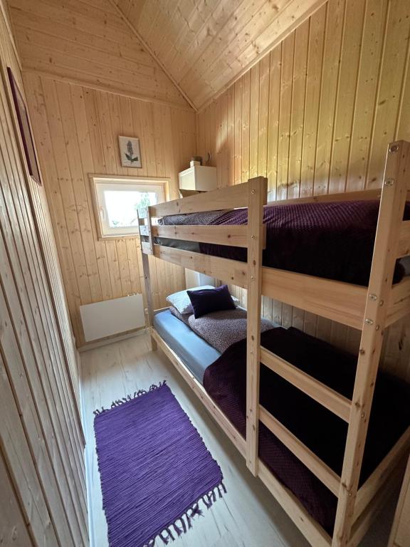 1 dormitorio con 2 literas en una cabaña en Islandzka chatka, en Mżyki