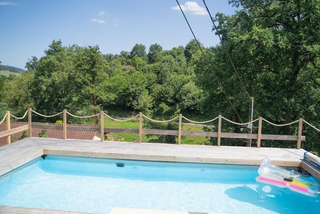 a swimming pool with a toy in the water at Le Bonheur En Beaujolais - pour 26 Personnes in Saint-Didier-sur-Beaujeu