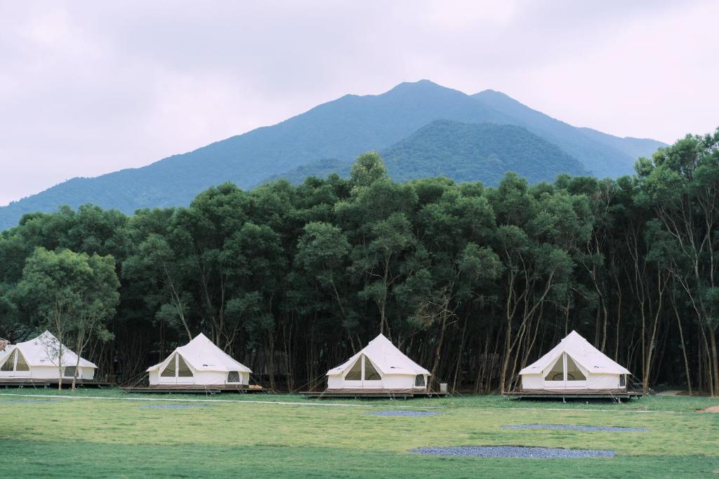 a group of tents in a field with mountains in the background at NatureLand Campsite in Shenzhen