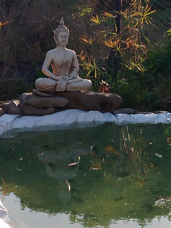 una estatua de un buddha sentado en la parte superior de un estanque en La Casita de Carla en Quequén