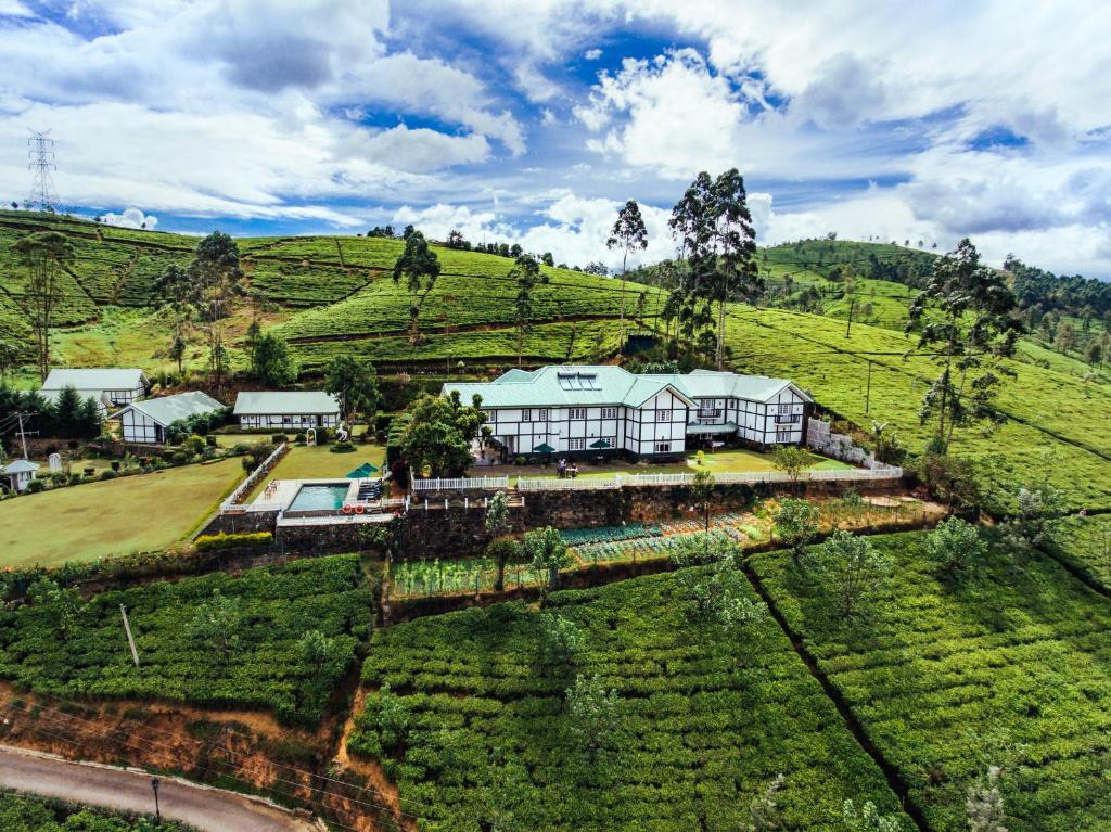 an aerial view of a farm in a tea plantation at Langdale Boutique Hotel by Amaya in Nuwara Eliya