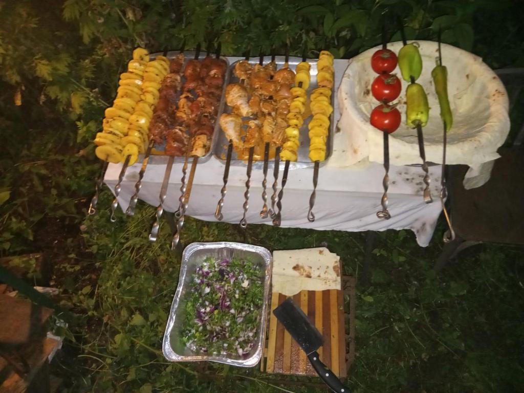 Rossi Rest House By The River Maxim Gorky Str 40 - Housity