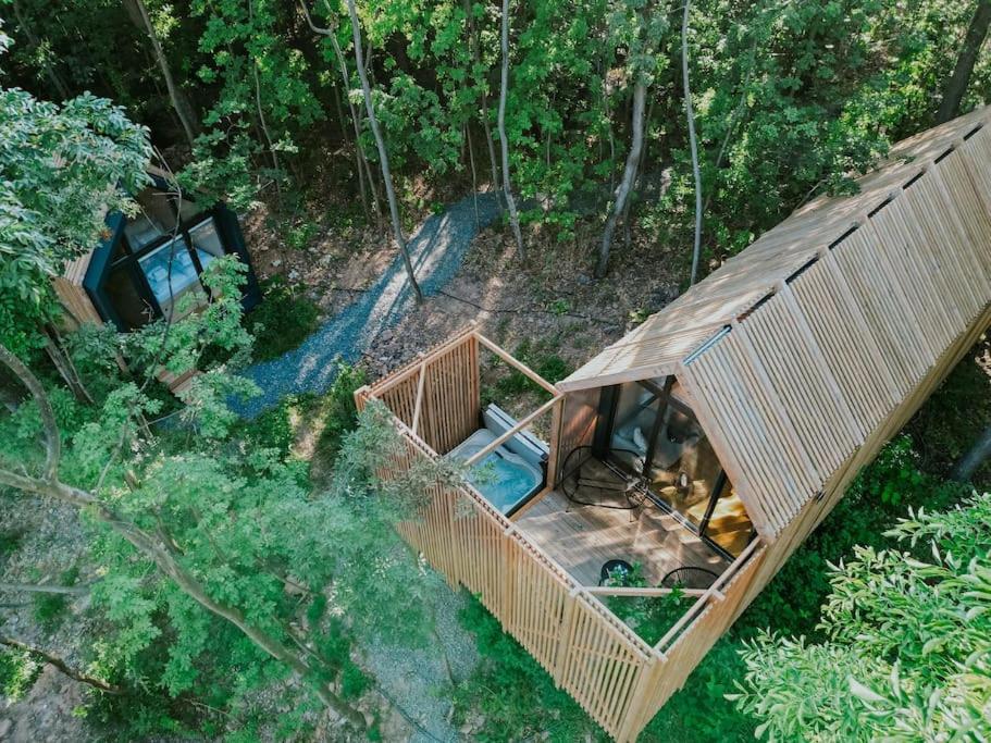 widok na domek na drzewie w lesie w obiekcie Slowood Cabins w mieście Balatonszepezd