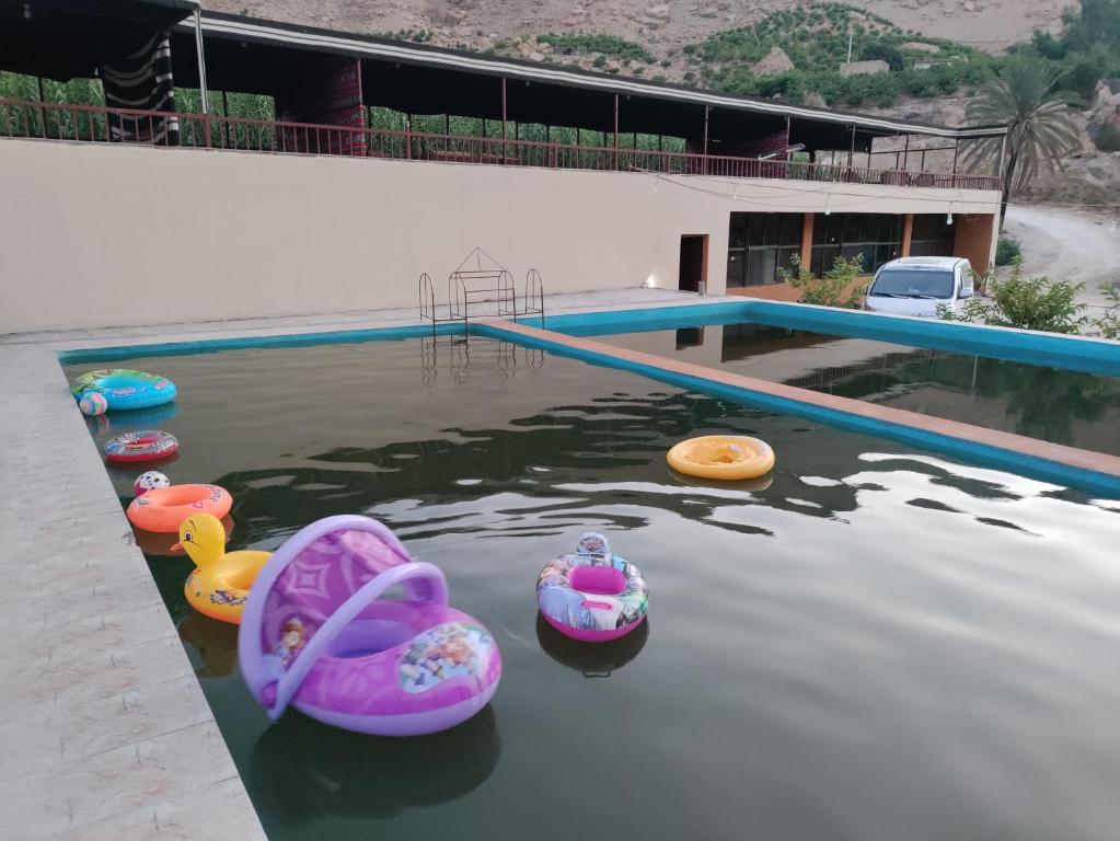 Bazén v ubytování Sail Alhasa Tourist Resort-Tafila nebo v jeho okolí