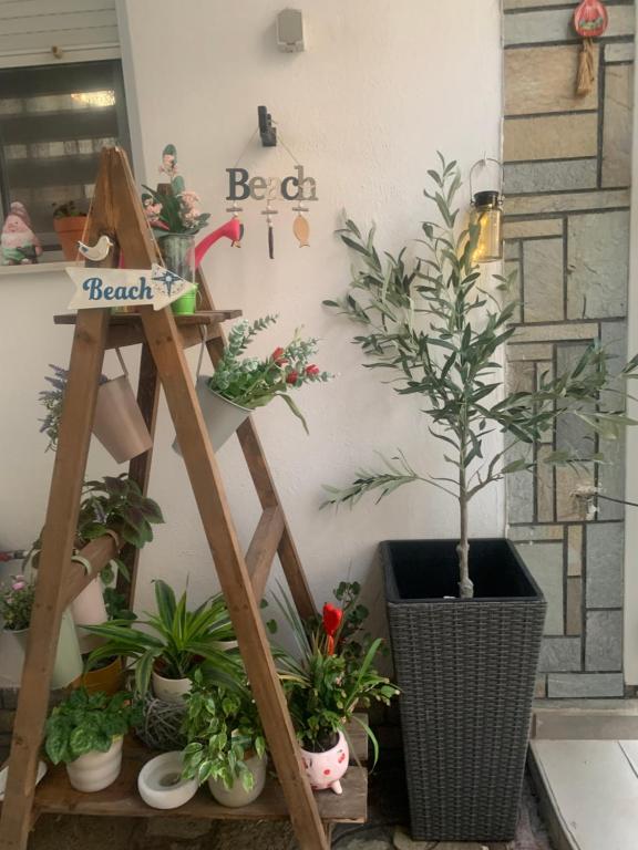 Fotografie z fotogalerie ubytování Hotel Exarhos v destinaci Paralia Katerinis