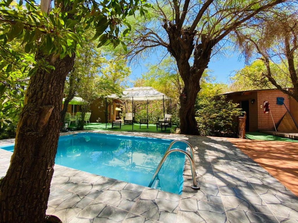 a swimming pool with a tree in a yard at Hotel Jireh in San Pedro de Atacama