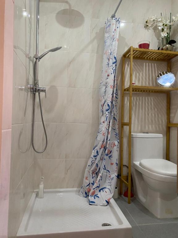 a bathroom with a shower and a toilet at houses&halfhouses historic street in Caminha