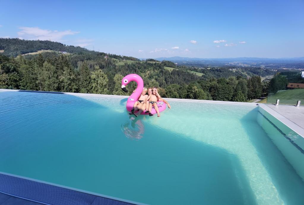 Bazén v ubytování Chalet-Südsteiermark - traumhafte Aussicht, Infinity Pool, Privatsphäre, Klima und de-luxe Ausstattung nebo v jeho okolí
