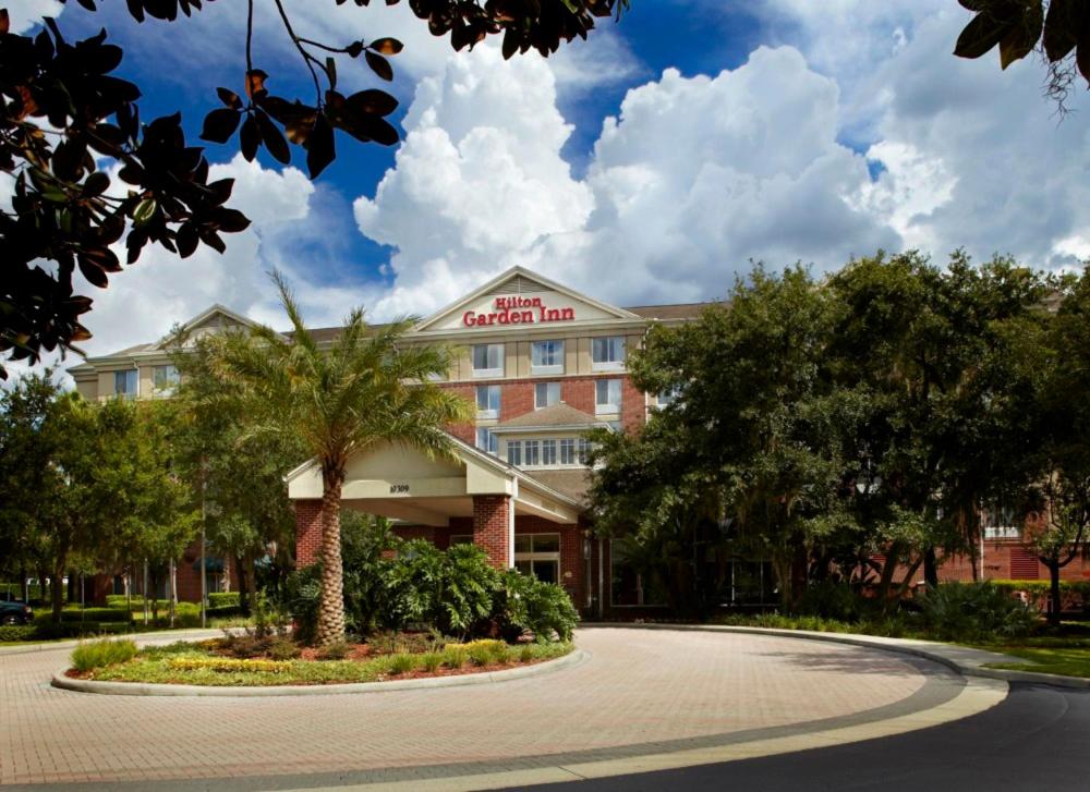 Hilton Garden Inn Tampa East Brandon في تامبا: فندق فيه نخلة امام مبنى