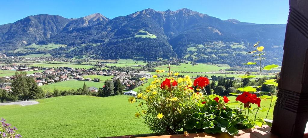 een uitzicht op een vallei met bloemen en bergen bij Appartment Krausberghof in Bad Hofgastein
