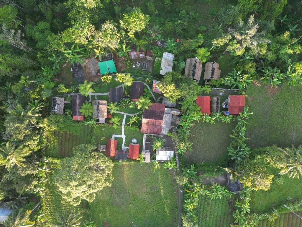 an overhead view of a house in a forest at Tetebatu Sama Sama Bungalows in Tetebatu