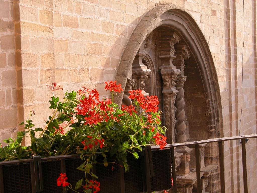 Zahrada ubytování Hotel Portal Del Matarraña