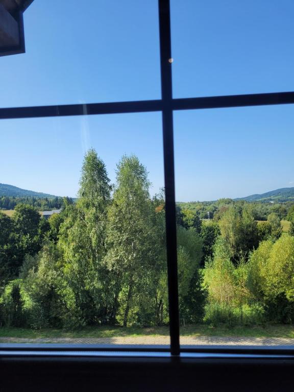 Příroda nedaleko penzionu