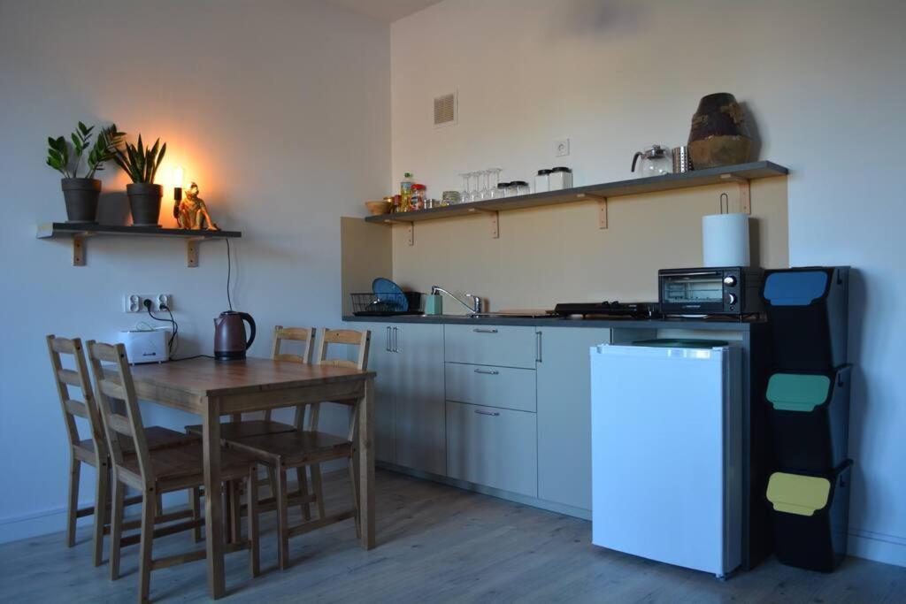 Η κουζίνα ή μικρή κουζίνα στο Parrot's Apartment