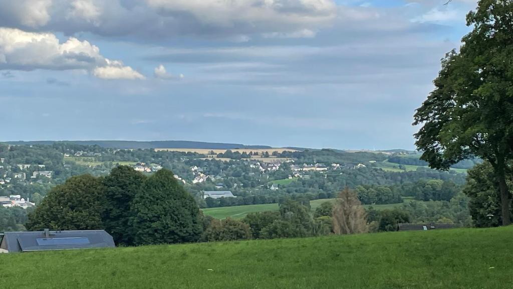 vistas desde una colina con un campo verde y árboles en haustierfreundliche Ferienwohnung Greifenbach, en Geyer