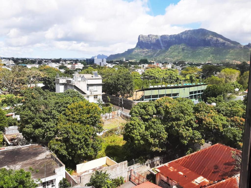 Vue sur une ville avec une montagne en arrière-plan dans l'établissement Appartement Cosy, à Beau Bassin-Rose Hill