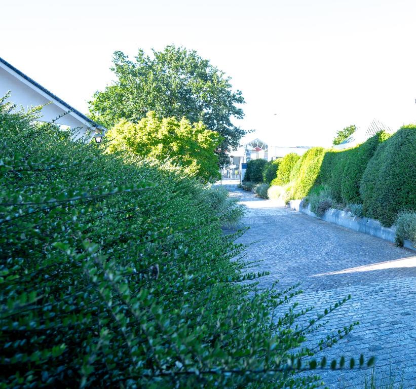 Zahrada ubytování De Boter Villa