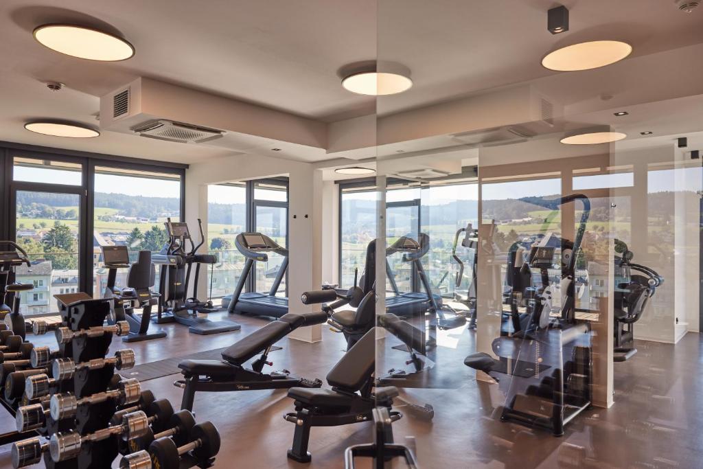 Fitness centrum a/nebo fitness zařízení v ubytování Impulshotel FREIGOLD