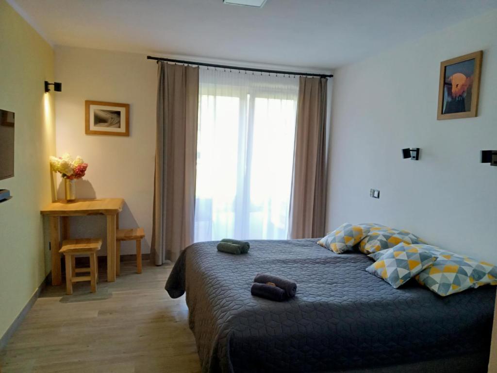 Wetlina Poza Trasą - 12