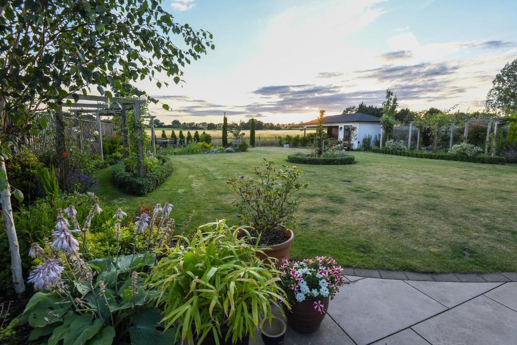 un jardín con muchas plantas en un patio en Sunset View at The Dovecote, en Kirkby on Bain